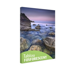 Tablou fosforescent Spiritul marii 