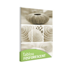 Tablou fosforescent Scoici 