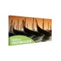 Tablou fosforescent Gondole in Venetia 