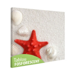 Tablou fosforescent Stea de mare rosie 