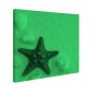 Tablou fosforescent Stea de mare rosie Tablou fosforescent Stea de mare rosie