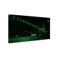 Tablou fosforescent Podul Bosfor