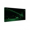 Tablou fosforescent Podul Bosfor