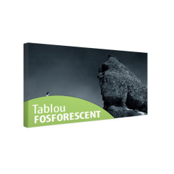 Tablou fosforescent Sfinxul