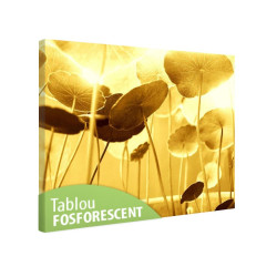 Tablou fosforescent Sub soare