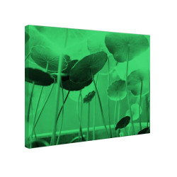 Tablou fosforescent Sub soare