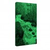 Tablou fosforescent Parau