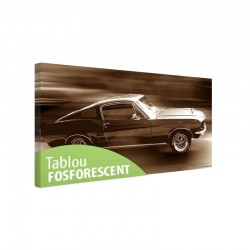 Tablou fosforescent Ford Mustang 