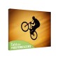 Tablou fosforescent Airbike 