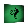 Tablou fosforescent Airbike 