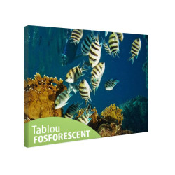Tablou fosforescent Viata subacvatica 