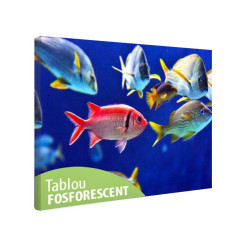 Tablou fosforescent Pesti