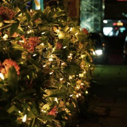 Plasa de lumini pentru exterior, 6x4 m, 400 LED-uri, alb, Home
