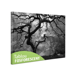 Tablou fosforescent monocrom, canvas imprimat, Artar