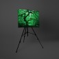 Tablou fosforescent monocrom, canvas imprimat, Artar Tablou fosforescent monocrom, canvas imprimat, Artar
