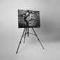 Tablou fosforescent monocrom, canvas imprimat, Artar Tablou fosforescent monocrom, canvas imprimat, Artar