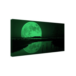 Tablou fosforescent 20x40 cm, Rasarit de Luna