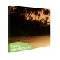 Tablou fosforescent Tropical Sunset, monocrom, 30x30, print canvas Tablou fosforescent Tropical Sunset, monocrom, 30x30, print canvas