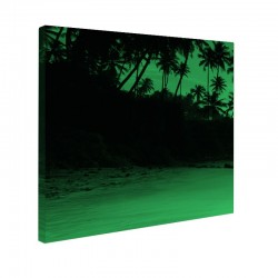 Tablou fosforescent Tropical Sunset, monocrom, 30x30, print canvas