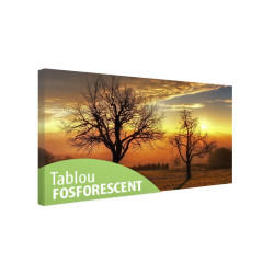 Tablou canvas fosforescent Trees in the sunset, 80x40 cm