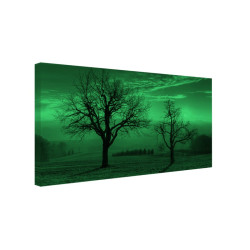 Tablou canvas fosforescent Trees in the sunset, 80x40 cm