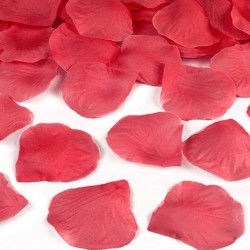 Confetti petale de trandafir rosii, tun 80 cm, decoratiuni petreceri