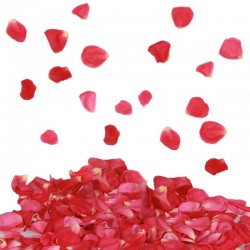 Confetti petale de trandafir rosii, tun 80 cm, decoratiuni petreceri
