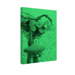 Tablou fosforescent Bicicleta Roz cu Flori, canvas 20x30 cm