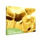 Tablou fosforescent Sub Soare, canvas profesional 30x20 cm Tablou fosforescent Sub Soare, canvas profesional 30x20 cm