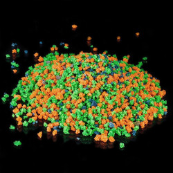 Pietricele fosforescente multicolore, granulatie 5 mm, decor glow gradina