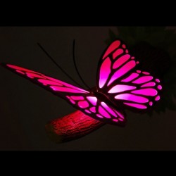 Lampa 3D Fluture roz