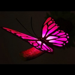 Lampa 3D Fluture roz