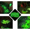 Pietricele fosforescente decorative glow verzi, marimi diferite