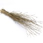 Matura vrajitoare, 115 cm, accesoriu carnaval Halloween, bambus Matura vrajitoare, 115 cm, accesoriu carnaval Halloween, bambus
