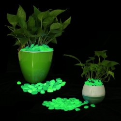 Pietricele fosforescente glow in the dark decorative, translucide care lumineaza verde