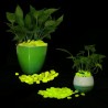 Pietricele fosforescente decorative glow galbene