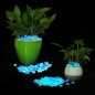Pietricele fosforescente decorative glow albastre care lumineaza albastru