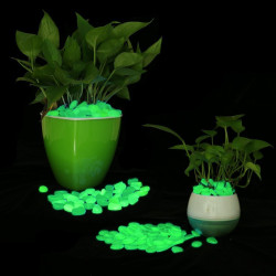 Pietricele fosforescente decorative glow verzi, marimi diferite