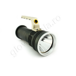 Lanterna metalica cu maner - 800 Lumeni