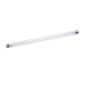 Tub bactericid UVC 8W T5, pentru sterilizare, lungime 30 cm, rezerva lampa bactericida Tub bactericid UVC 8W T5, pentru sterilizare, lungime 30 cm, rezerva lampa bactericida