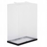 Set 10 cutii depozitare papuci, transparente, clapeta pentru inchidere, 21x31x12cm