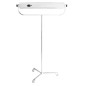 Lampa bactericida UVC 55W, structura integrala inox, germicidala portabila, stativ pe roti, tub Philips, comutator Lampa bactericida UVC 55W, structura integrala inox, germicidala portabila, stativ pe roti, tub Philips, comutator