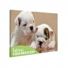 Tablou canvas fosforescent Bulldog Puppies, 52x90 cm