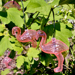 Ghirlanda solara decorativa Flamingo, LED, 10 figurine 8x11 cm, lungime 1.8 m, roz, IP44, 2 moduri iluminare