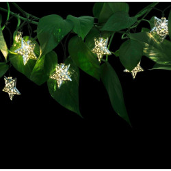 Ghirlanda stelute decorative, 10 LED-uri alb cald, lungime 1.8 metri, IP44