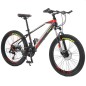 Bicicleta Mountain Bike cadru 13", 21 viteze, roti 24 inch, schimbator Shimano, frana disc, suspensii furca cu blocare, Phoenix