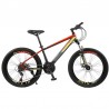 Bicicleta Mountain Bike cadru otel 13", roti 20 inch, 21 viteze, schimbator Shimano, suspensii pe furca cu blocator, Phoenix