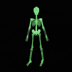 Schelet fosforescent inaltime 150 cm, lumineaza intens in intuneric, decor Halloween