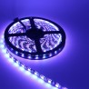Banda LED auto decorativa RGB+NW 5050, 72W, 12V, lungime 5m, autoadeziva, interior, IP20