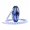 Banda LED auto decorativa RGB+NW 5050, 72W, 12V, lungime 5m, autoadeziva, interior, IP20